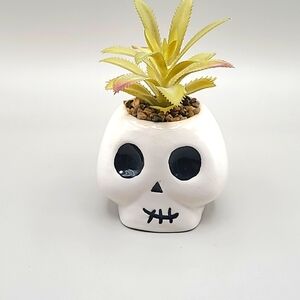 Skull Planter with Faux Plant